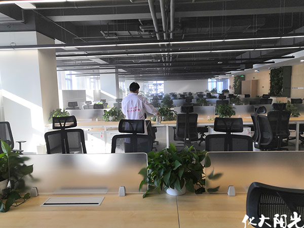 专家教你在办公室除甲醛，净享健康办公环境