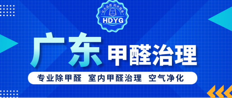 广东专业除甲醛公司_广东甲醛治理