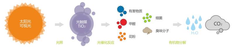 光触媒 光触媒