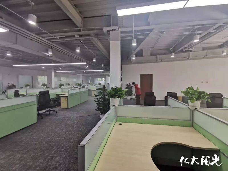 专业除甲醛公司 专业除甲醛公司
