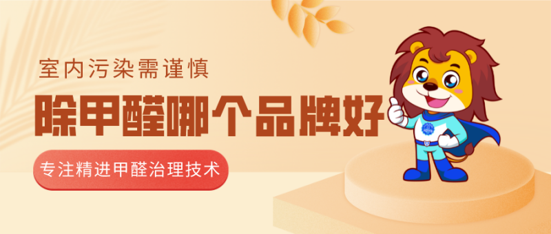 除甲醛公司哪个品牌好 除甲醛公司哪个品牌好