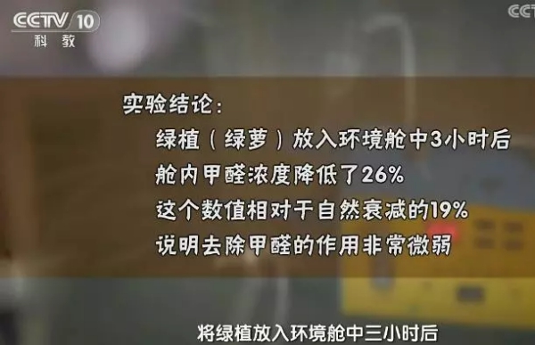 绿植绿萝除甲醛 绿植绿萝除甲醛