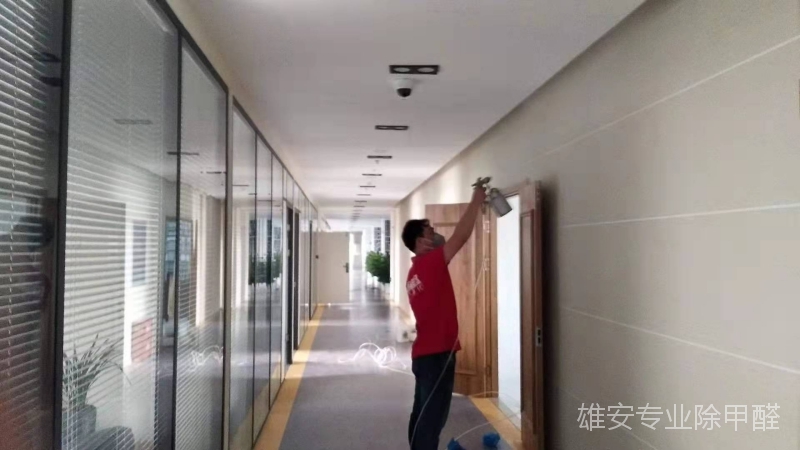 雄安新区专业除甲醛公司 雄安新区专业除甲醛公司