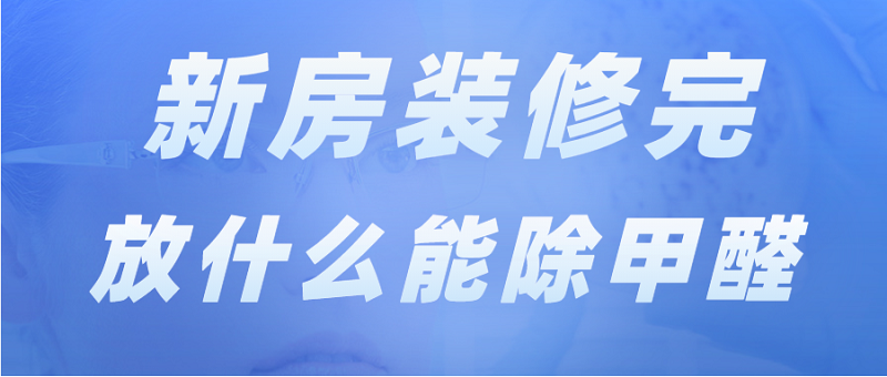 新房装修完放什么能除甲醛?最有效的五种方法 新房装修完放什么能除甲醛?最有效的五种方法
